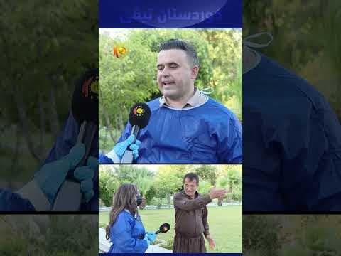 تەندروستی سۆران دەرمانی مێش و مەگەز دەڕشێنێت